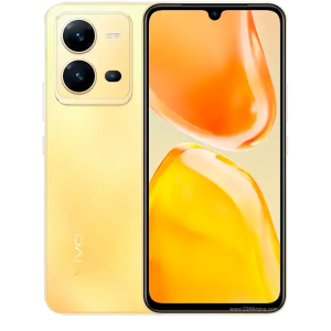 Vivo V25